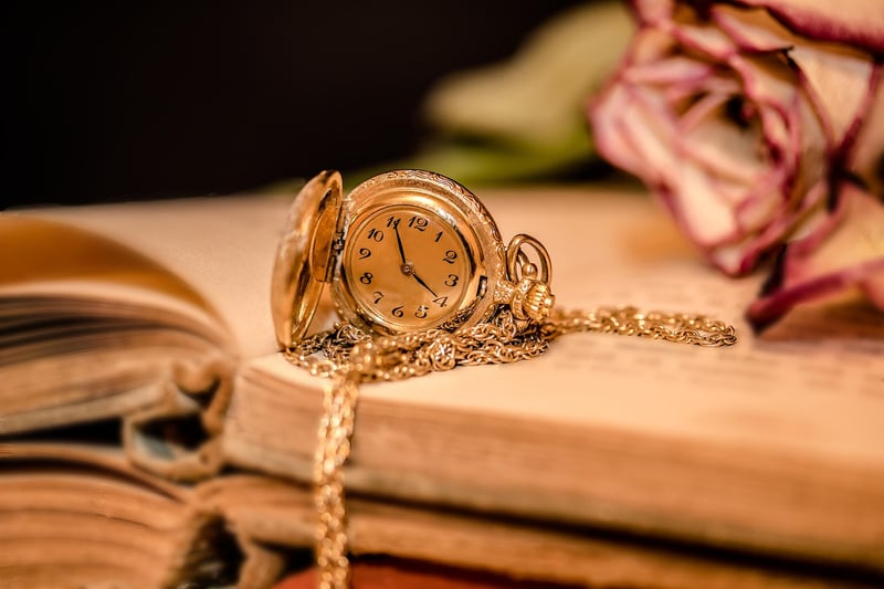 Time Traveler Chronicles